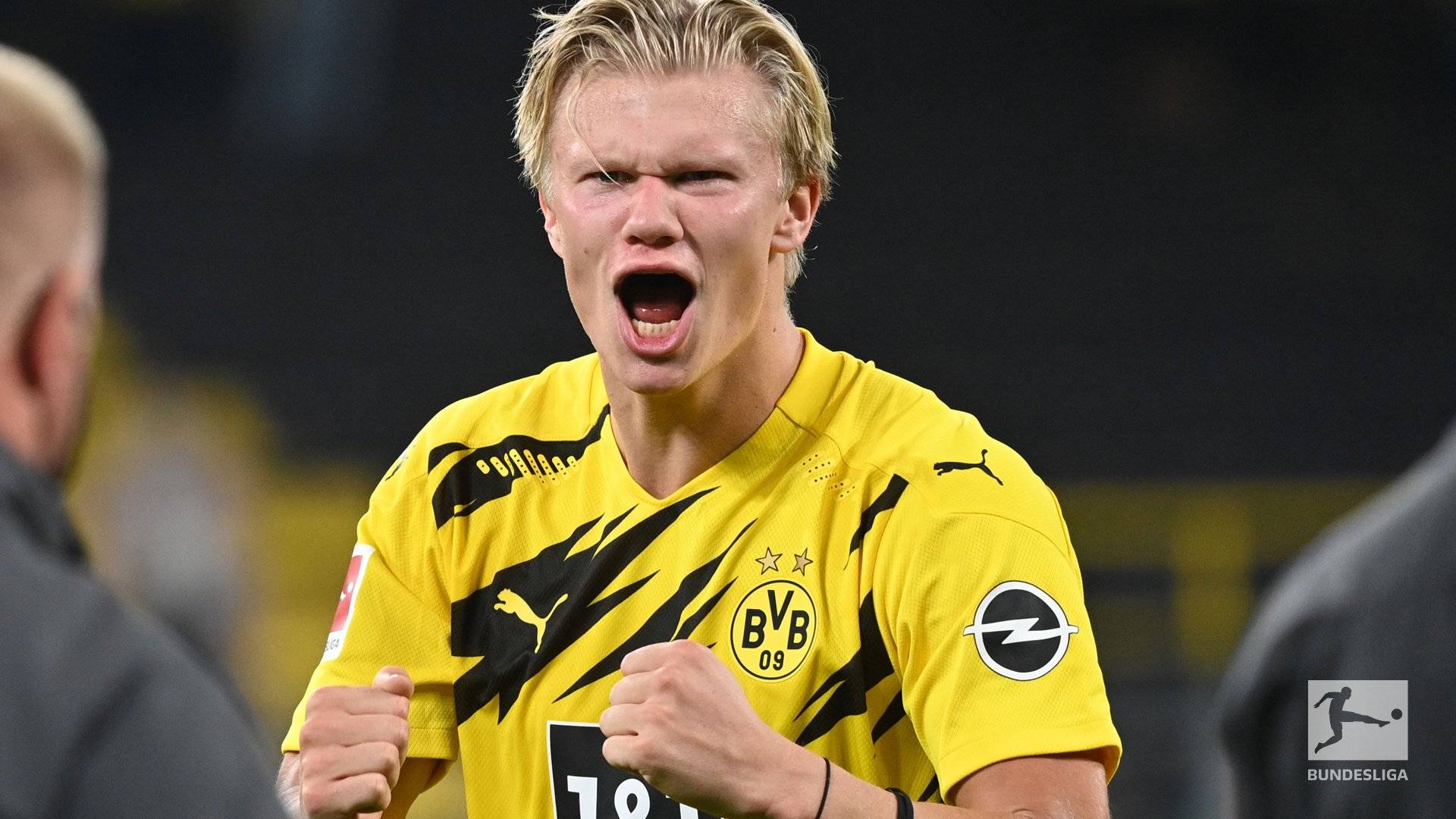 自然融入 自然融入